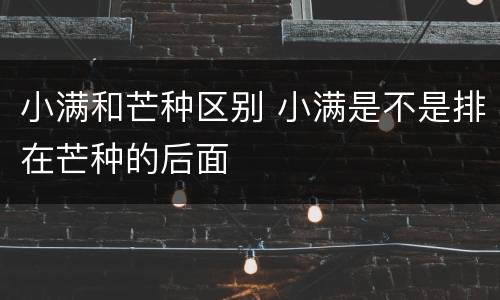 小满和芒种区别 小满是不是排在芒种的后面