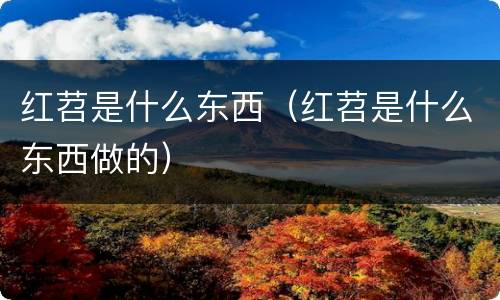 红苕是什么东西（红苕是什么东西做的）