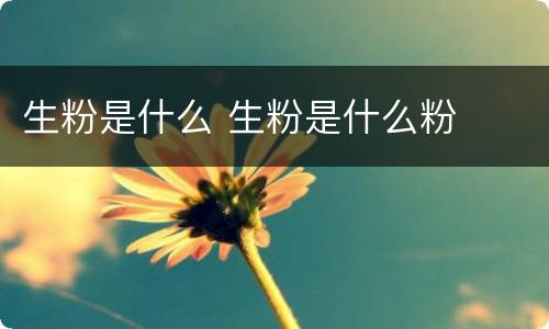 生粉是什么 生粉是什么粉