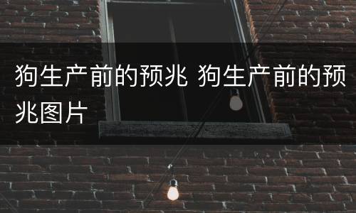 狗生产前的预兆 狗生产前的预兆图片