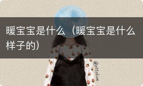 暖宝宝是什么（暖宝宝是什么样子的）
