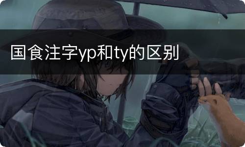 国食注字yp和ty的区别