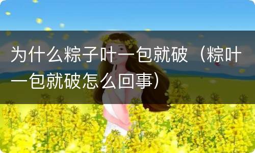 为什么粽子叶一包就破（粽叶一包就破怎么回事）