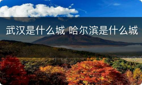 武汉是什么城 哈尔滨是什么城