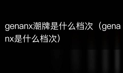 genanx潮牌是什么档次（genanx是什么档次）