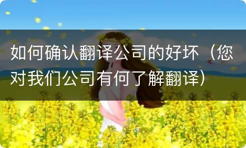 如何确认翻译公司的好坏（您对我们公司有何了解翻译）