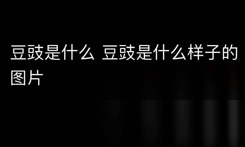 豆豉是什么 豆豉是什么样子的图片