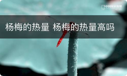 杨梅的热量 杨梅的热量高吗