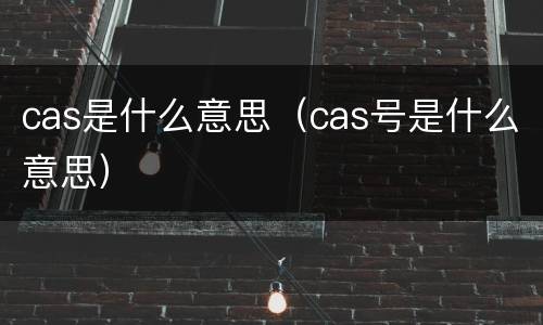 cas是什么意思（cas号是什么意思）