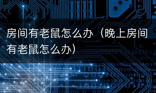 房间有老鼠怎么办（晚上房间有老鼠怎么办）
