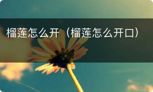 榴莲怎么开（榴莲怎么开口）