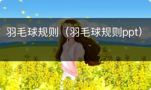 羽毛球规则（羽毛球规则ppt）