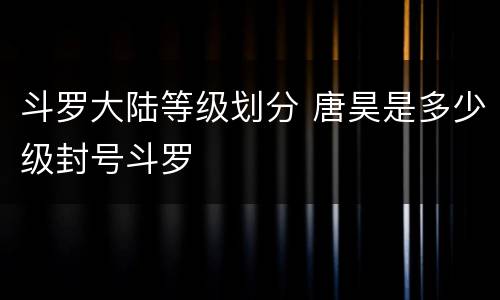 斗罗大陆等级划分 唐昊是多少级封号斗罗