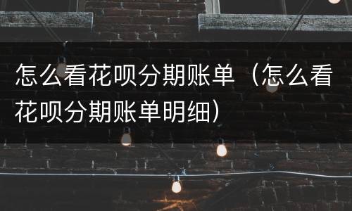 怎么看花呗分期账单（怎么看花呗分期账单明细）