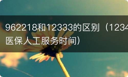 962218和12333的区别（12345医保人工服务时间）