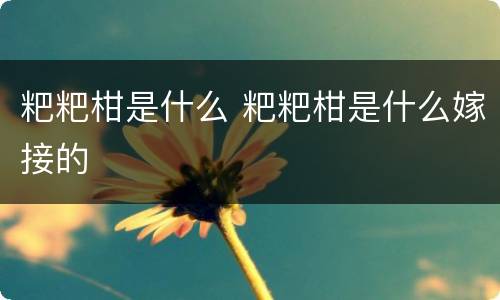 粑粑柑是什么 粑粑柑是什么嫁接的