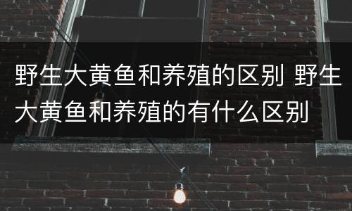 野生大黄鱼和养殖的区别 野生大黄鱼和养殖的有什么区别