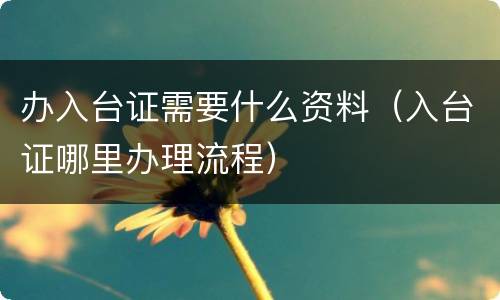 办入台证需要什么资料（入台证哪里办理流程）