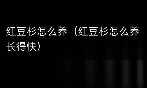 红豆杉怎么养（红豆杉怎么养长得快）