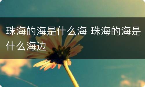 珠海的海是什么海 珠海的海是什么海边