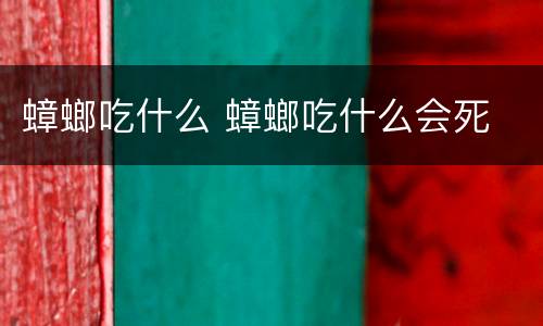 蟑螂吃什么 蟑螂吃什么会死