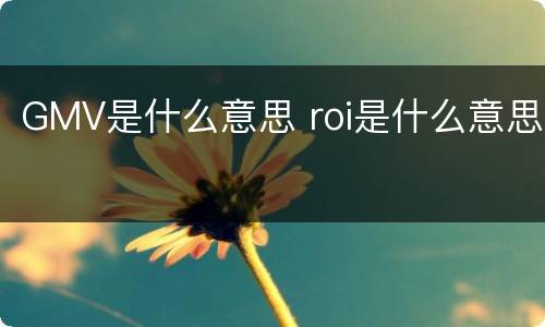GMV是什么意思 roi是什么意思