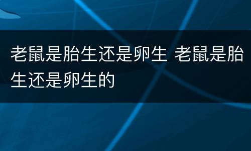 老鼠是胎生还是卵生 老鼠是胎生还是卵生的