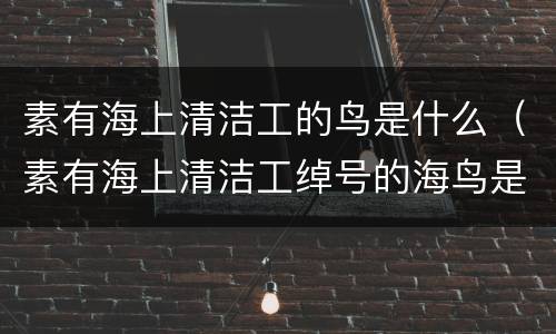 素有海上清洁工的鸟是什么（素有海上清洁工绰号的海鸟是什么鸟）