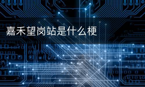 嘉禾望岗站是什么梗