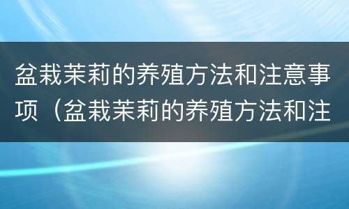 盆栽茉莉的养殖方法和注意事项(盆栽茉莉的养殖方法和注意事项修剪)