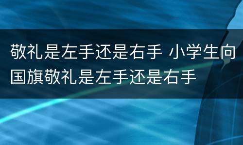 敬礼是左手还是右手 小学生向国旗敬礼是左手还是右手