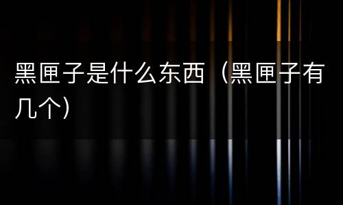 黑匣子是什么东西（黑匣子有几个）