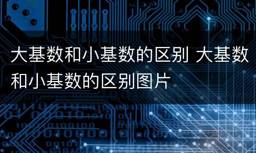 大基数和小基数的区别 大基数和小基数的区别图片