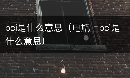 bci是什么意思（电瓶上bci是什么意思）