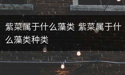 紫菜属于什么藻类 紫菜属于什么藻类种类