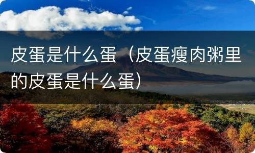 皮蛋是什么蛋（皮蛋瘦肉粥里的皮蛋是什么蛋）