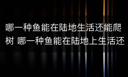 哪一种鱼能在陆地生活还能爬树 哪一种鱼能在陆地上生活还会爬树