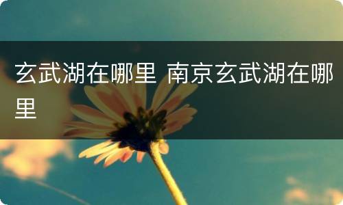 玄武湖在哪里 南京玄武湖在哪里