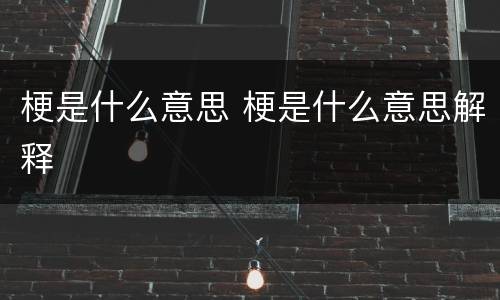 梗是什么意思 梗是什么意思解释