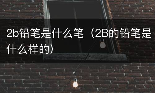 2b铅笔是什么笔（2B的铅笔是什么样的）