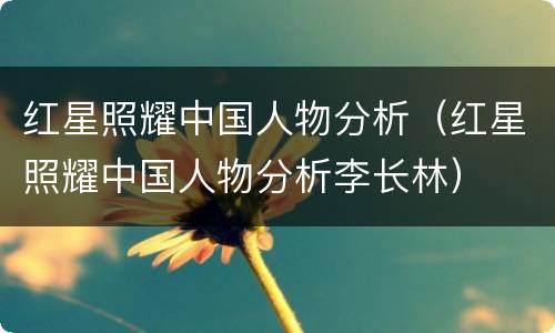 红星照耀中国人物分析（红星照耀中国人物分析李长林）