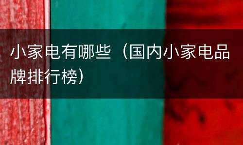 小家电有哪些（国内小家电品牌排行榜）