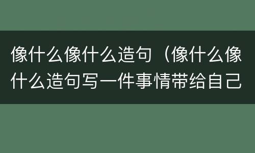 像什么像什么造句（像什么像什么造句写一件事情带给自己的感受）
