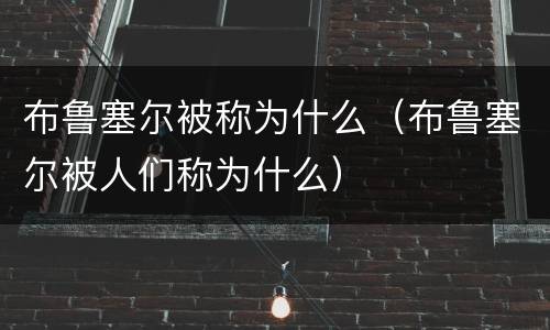 布鲁塞尔被称为什么（布鲁塞尔被人们称为什么）