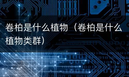 卷柏是什么植物（卷柏是什么植物类群）