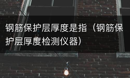 钢筋保护层厚度是指（钢筋保护层厚度检测仪器）