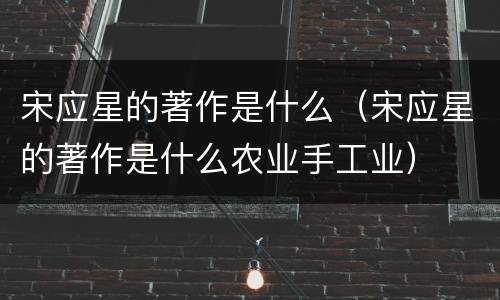 宋应星的著作是什么（宋应星的著作是什么农业手工业）