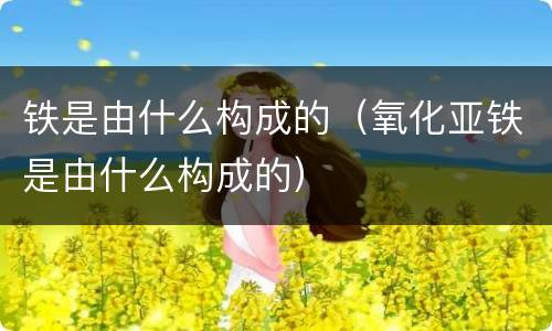铁是由什么构成的（氧化亚铁是由什么构成的）