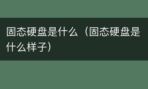 固态硬盘是什么（固态硬盘是什么样子）