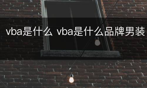 vba是什么 vba是什么品牌男装